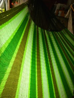 Hamac en coton Mercerisé 10C Green Forest